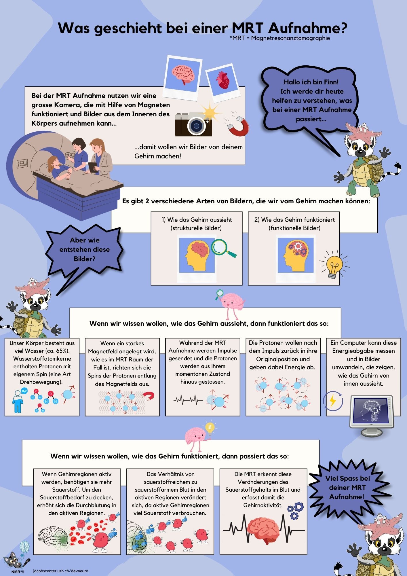 MRT Infoflyer, NMR Kids Lab; Copyright: Elena Federici