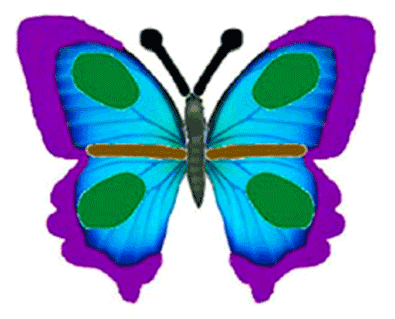 Sample species of butterflies with distinct cue values on all cues