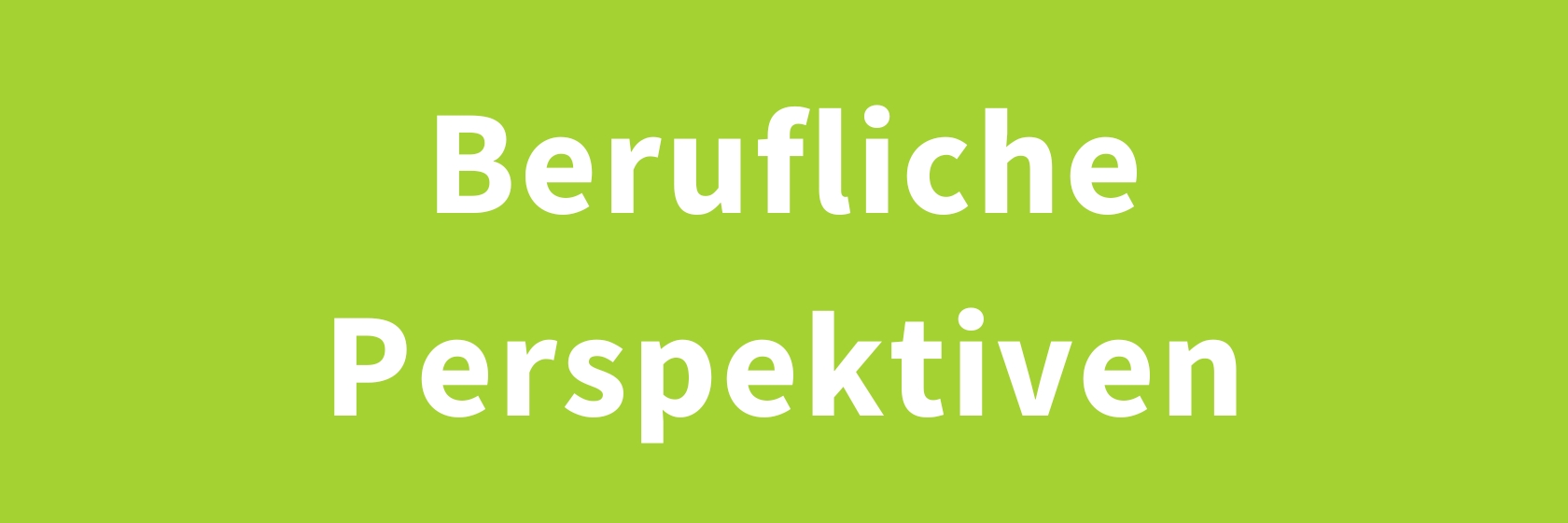 Berufliche Perspektiven