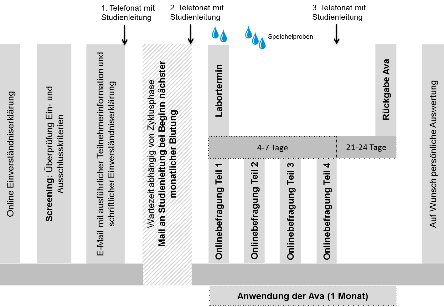 Bild_Studienablauf