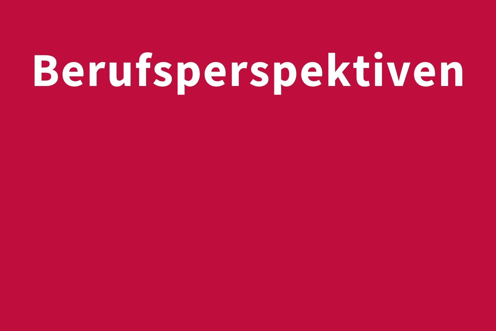 Berufsperspektiven