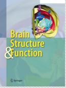 BrainandStructure